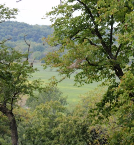 Rocky Creek Valley Farm